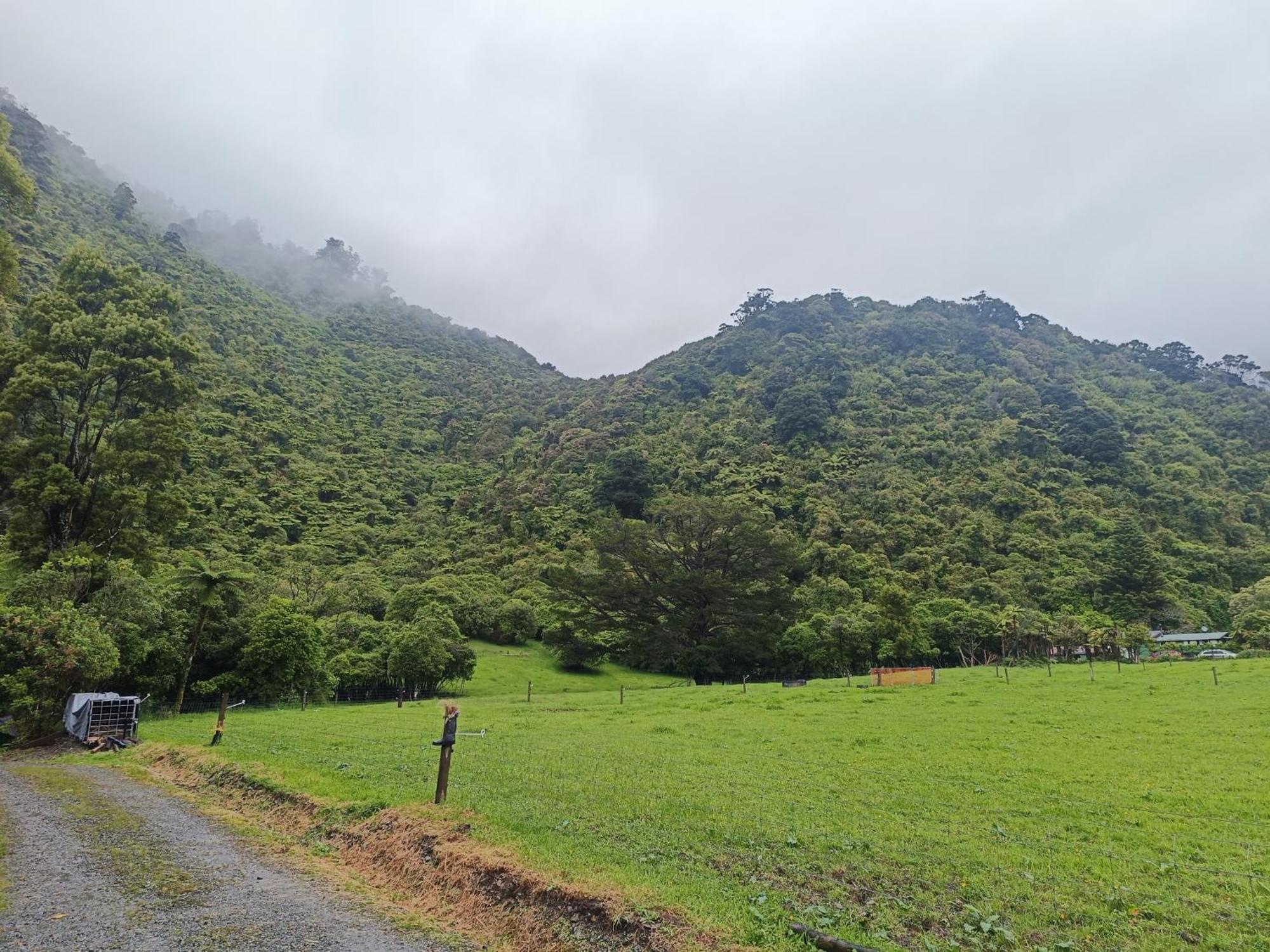 Ferienhaus Gumboot Paradise Eco *